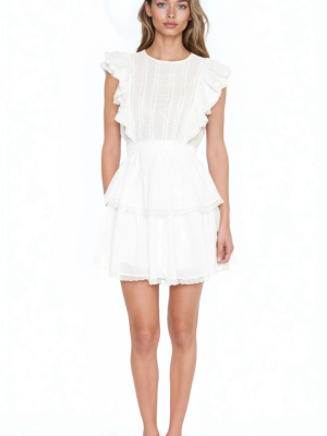 Clip Dot Lace Ruffled Mini Dress
